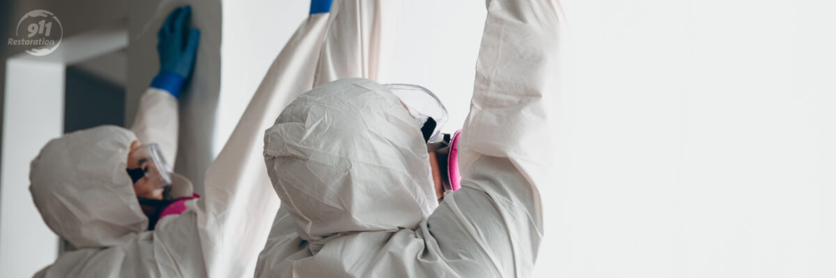 Welcome to Leading Mold Removal Services in Chico